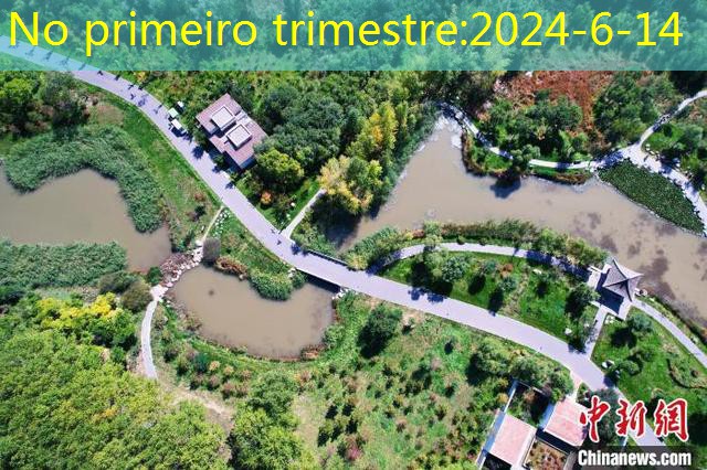 No primeiro trimestre